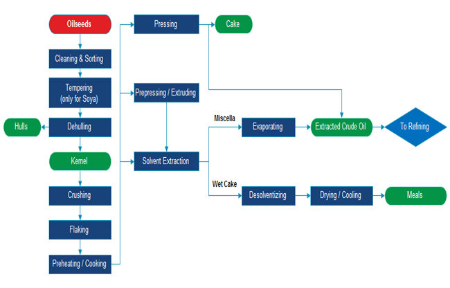 vegetable oil processing process