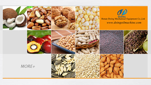 edible oil refinery plant 