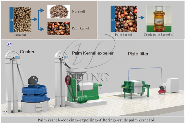 palm kernel oil extraciton process