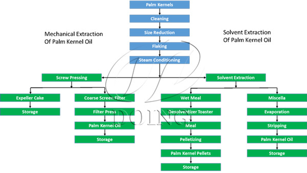 palm kernel oil extraction process