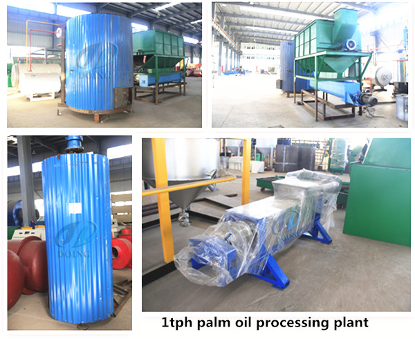 palm oil processing plant 