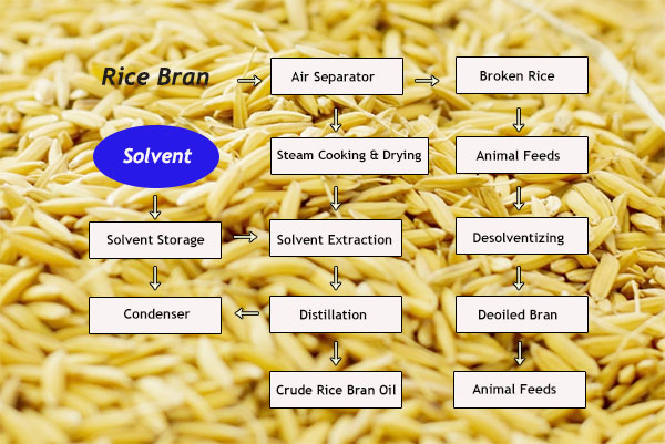 rice bran oil solvent extarction process