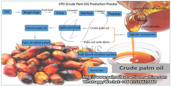 palm oil extraction process