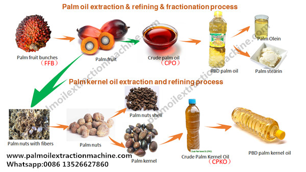 palm oil processing process