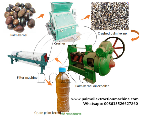 palm kernel oil processing machine 