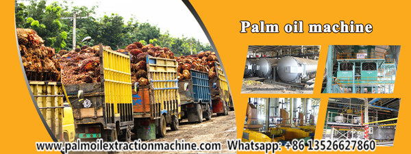 palm oil processing machine 