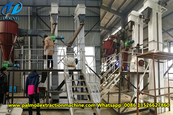 palm kernel cracking machine 