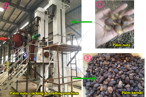 palm kernel cracking machine