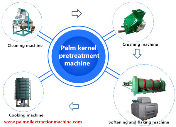 palm kernel pretreatment machine