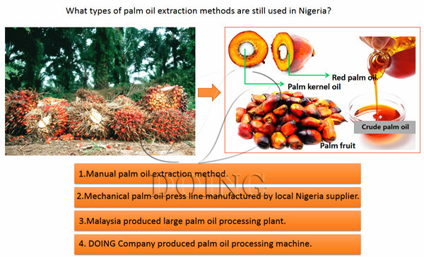 palm oil extraction methods