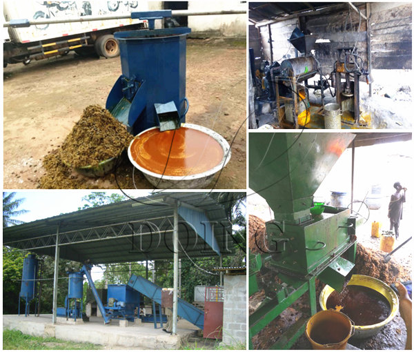 palm oil extraction method