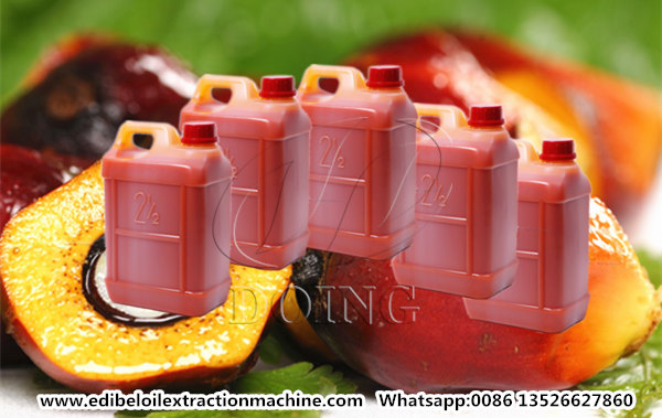 palm oil processing steps