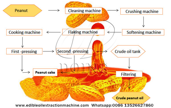peanut oil mill process