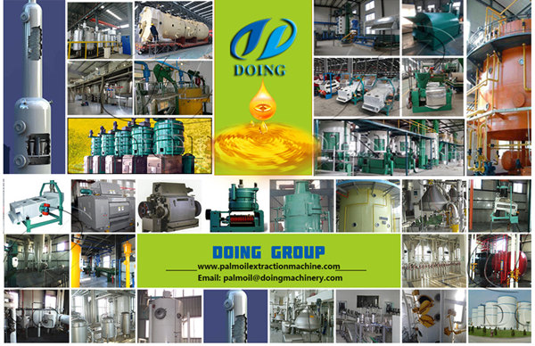 edible oil extraction machine 