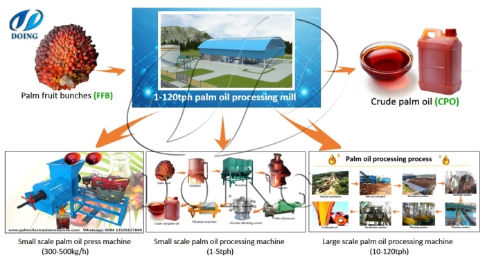 palm oil processiong machine