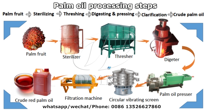 palm oil processing machine 