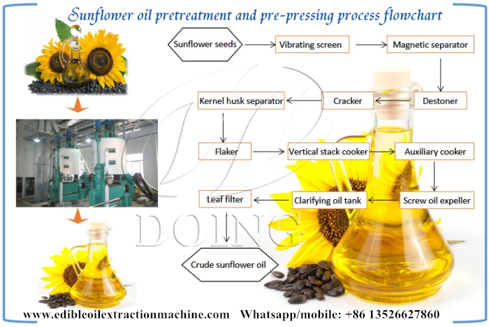 sunflower oil pretreatment and pre-pressing process