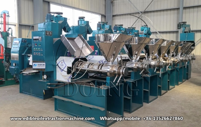 sunflower oil press machine 