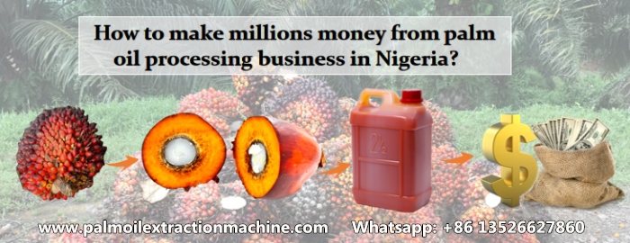 palm oil processing business 