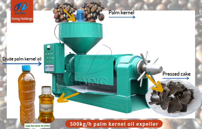 palm kernel oil expeller machine