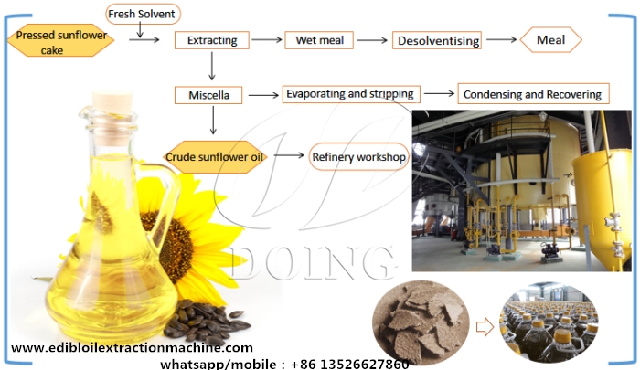 Sunflower oil extraction machine